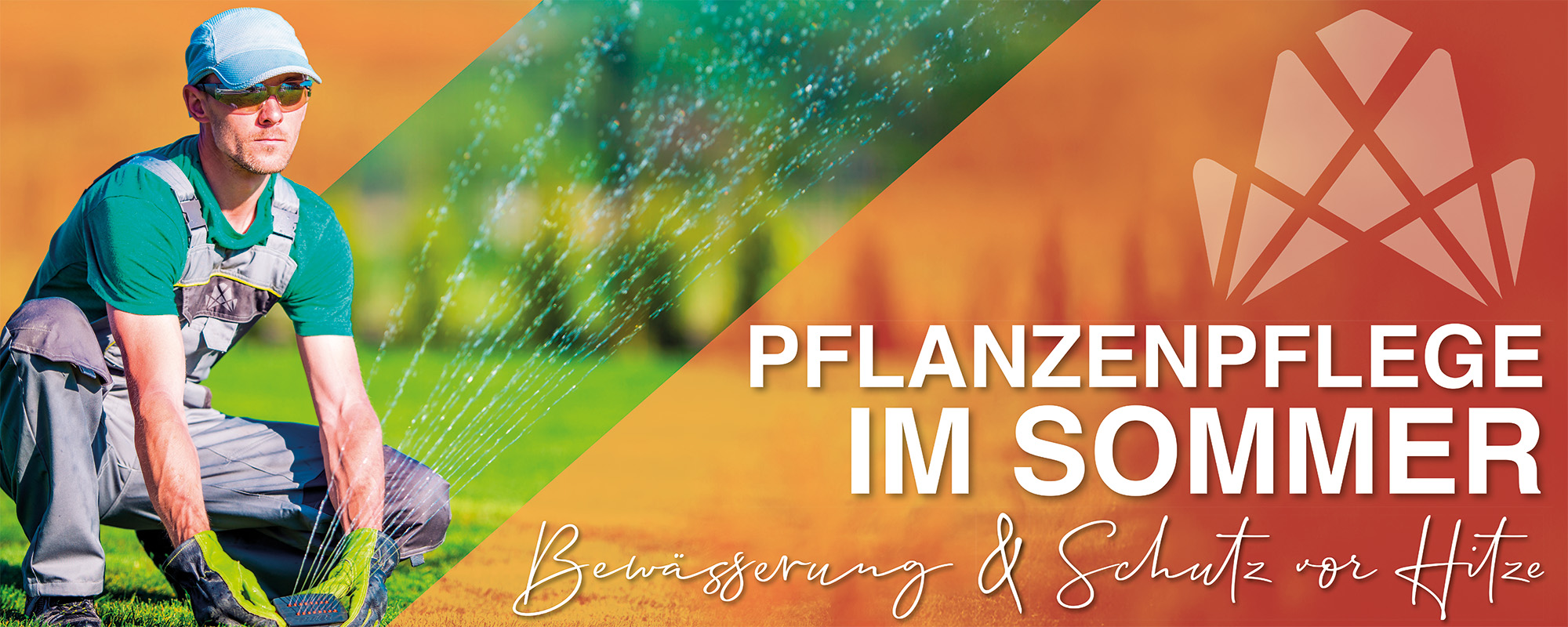 Pflanzenpflege im Sommer. Bewässerung und Schutz vor Hitze