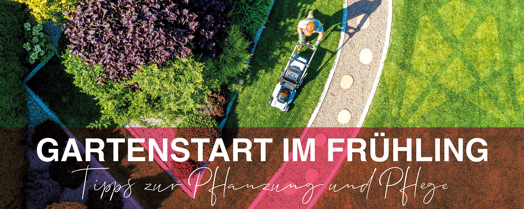 Gartenstart im Frühling - Tipps zur Pflanzung und Pflege