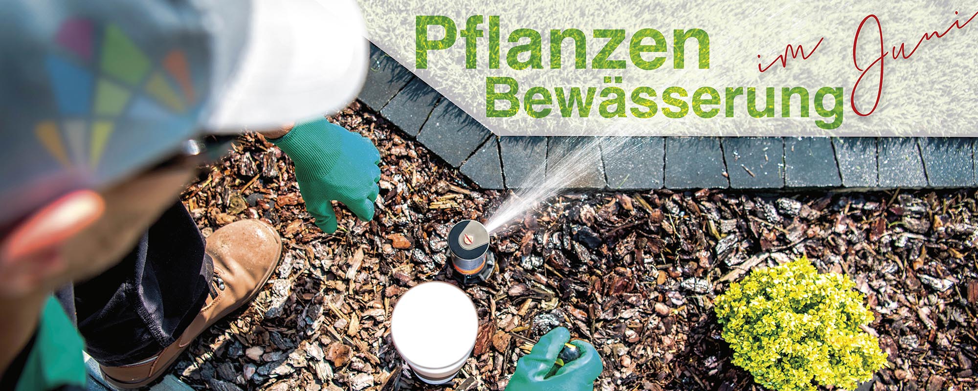 Gartenbewässerung im Juni