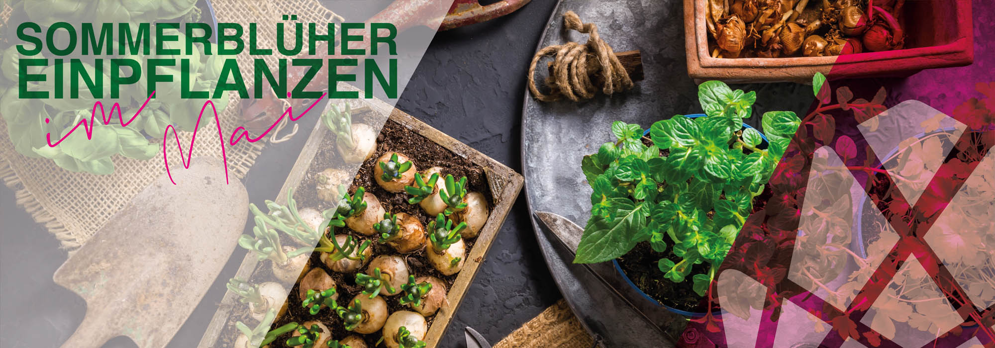 Einladung zum Tag des Living Pool und Swimming Ponds