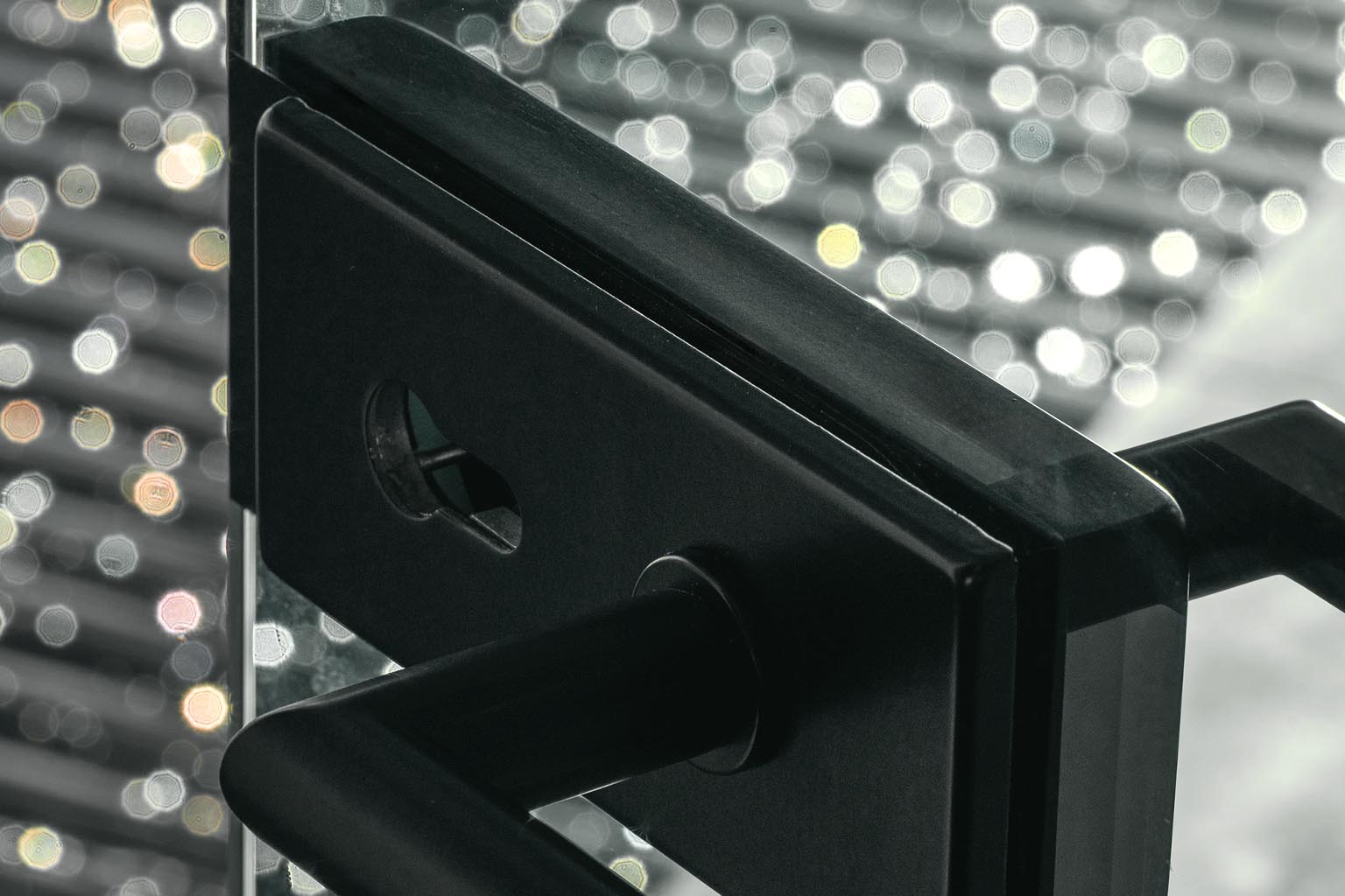 Detail Glasstür mit Griff matt schwarz